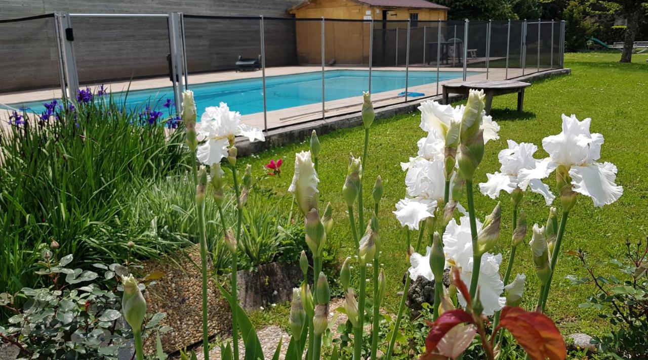 Gites de La Croisée des Chemins - Piscine Chauffée - Spa, Hammam et Sauna Izeaux Esterno foto